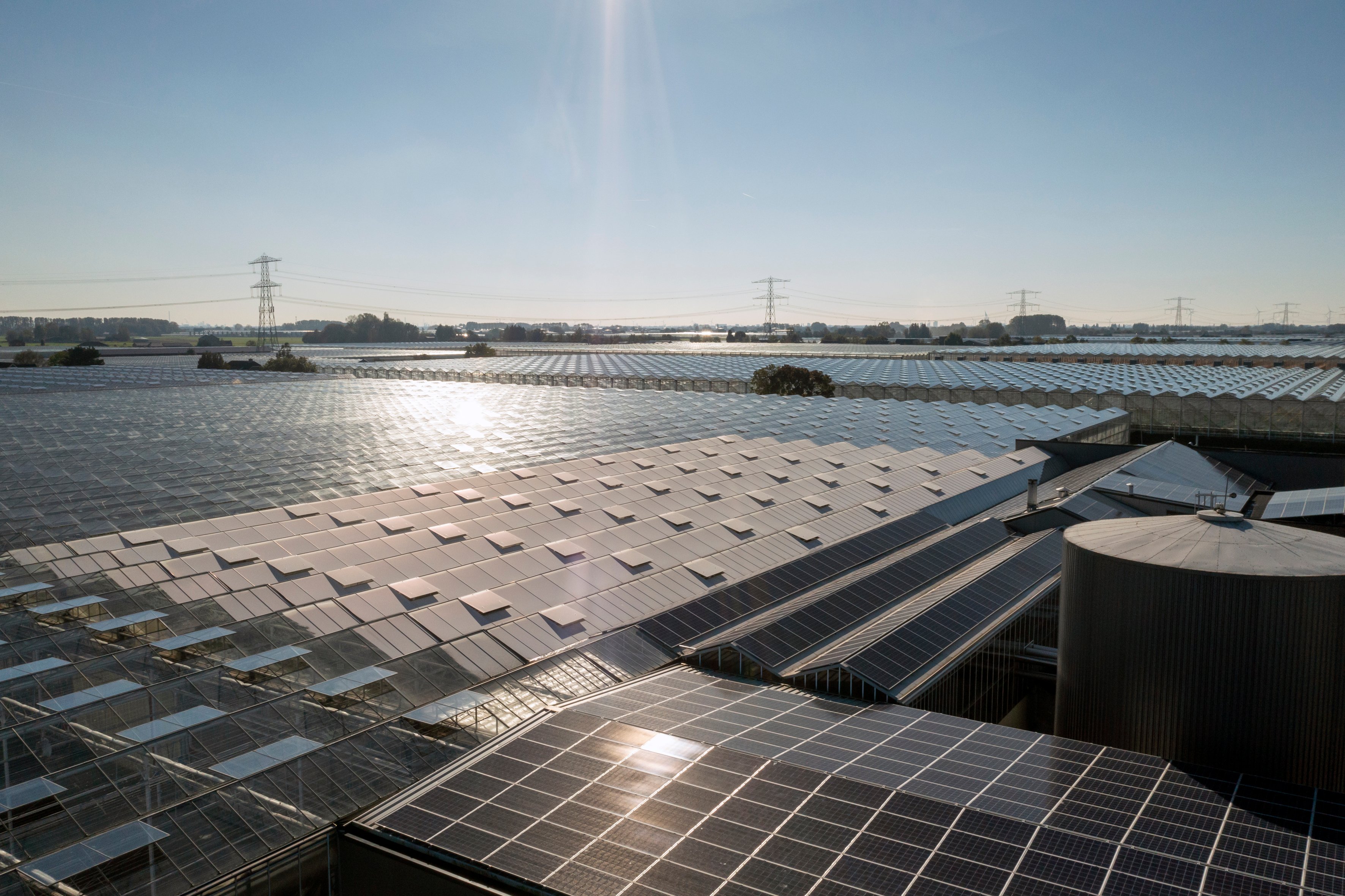 20211024 Plantanious drone_0711