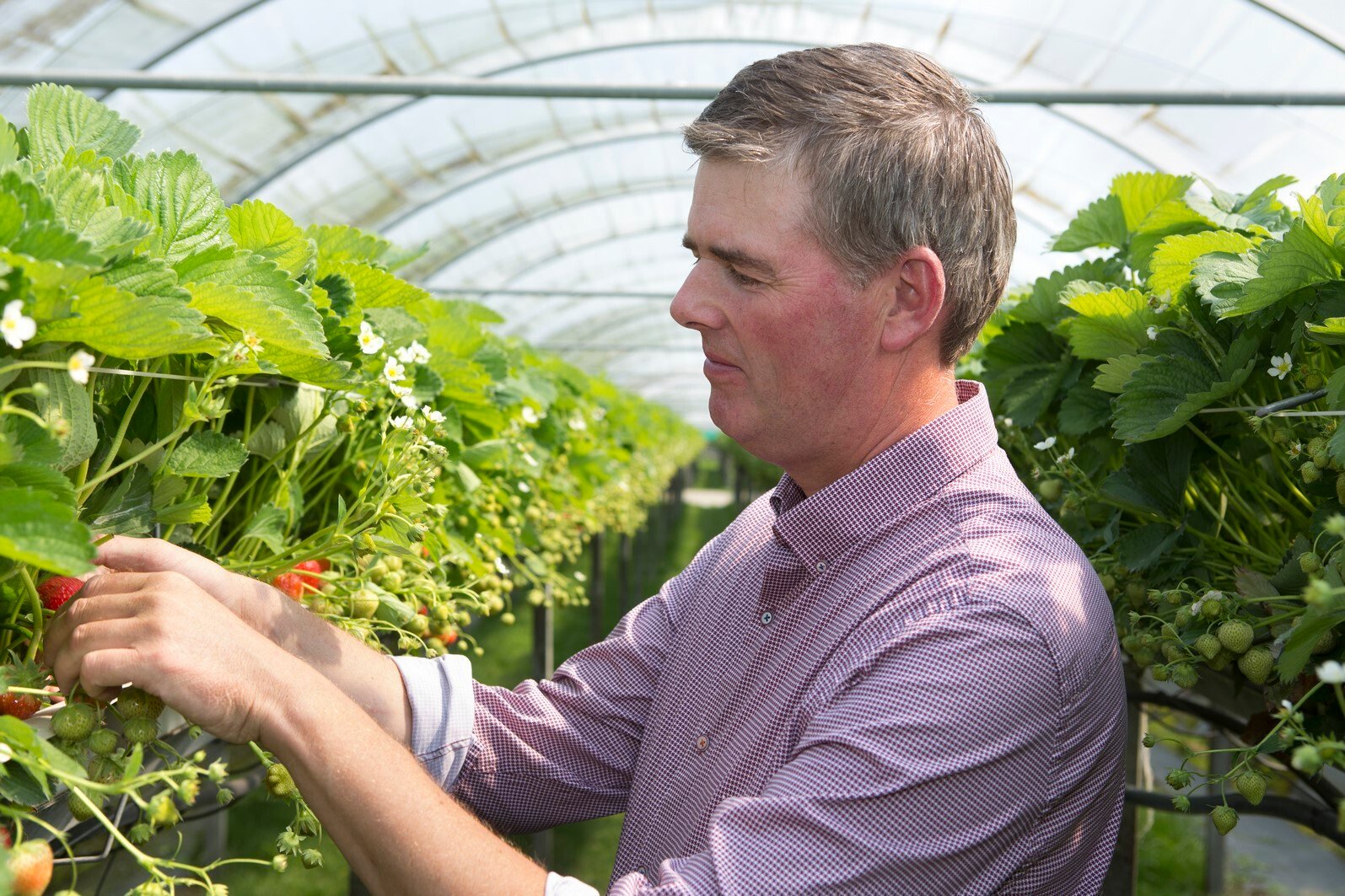 35-vanDoremaere-fotomarianneberkhoff__Kopie_