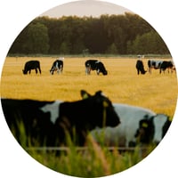 Emissiearme systemen