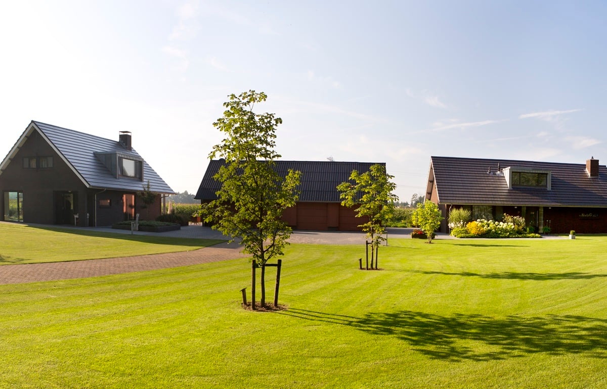 04-Stegeman-fotomarianneberkhoff