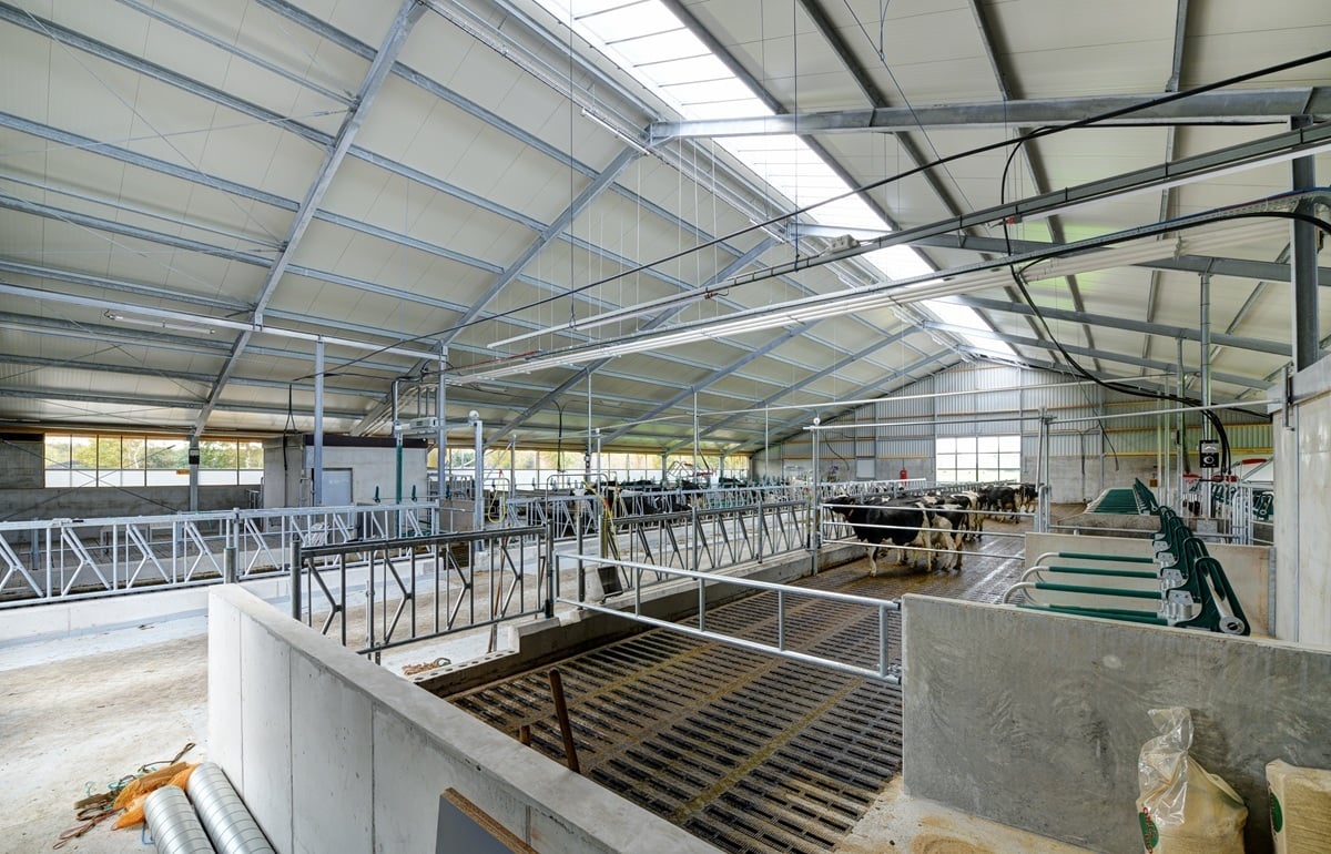 1160500006_2021-11-05_001 lp (1)