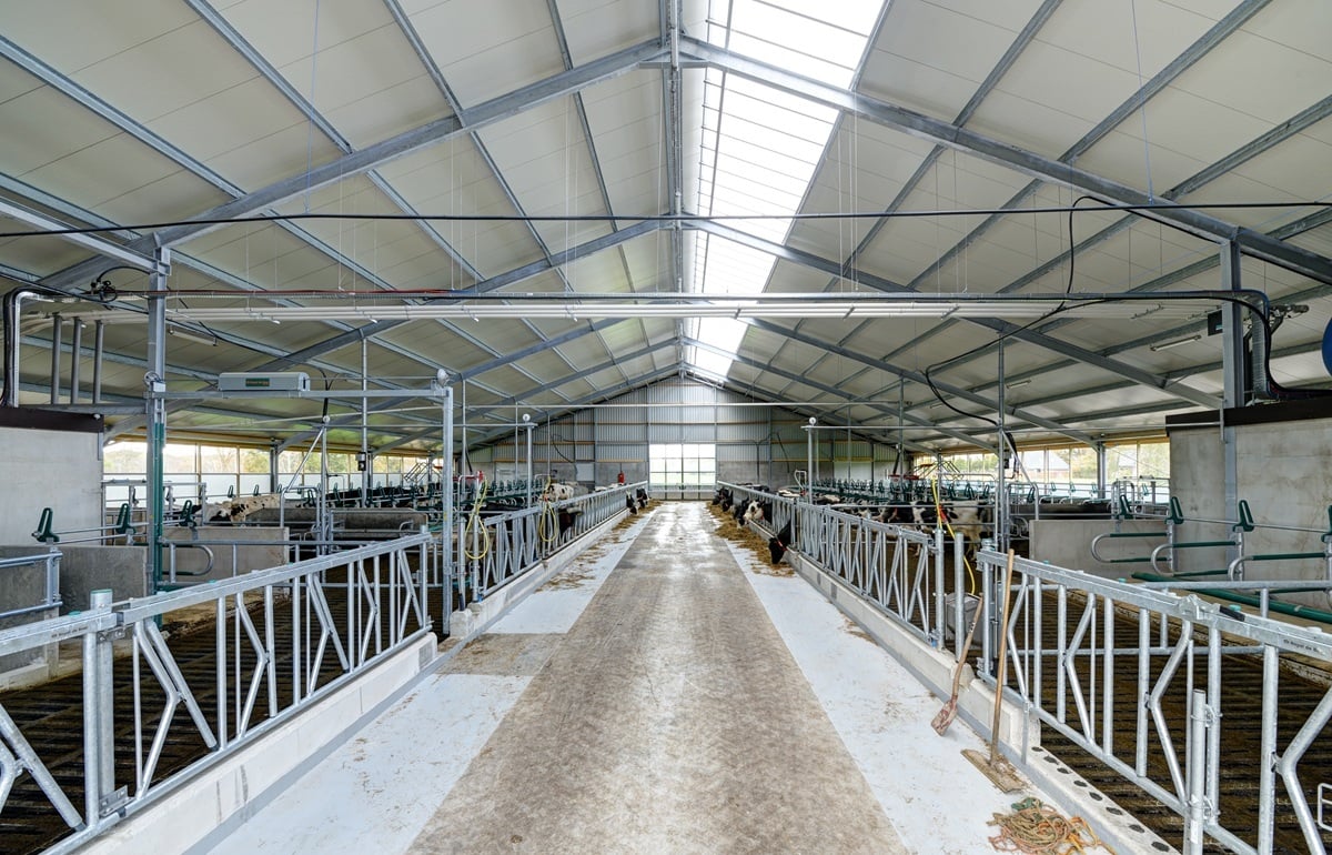 1160500006_2021-11-05_002 lp (3)