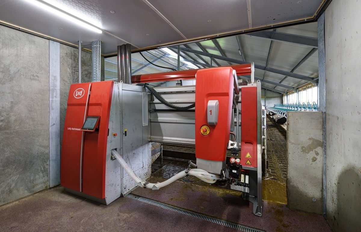 1160500006_2021-11-05_011 lp