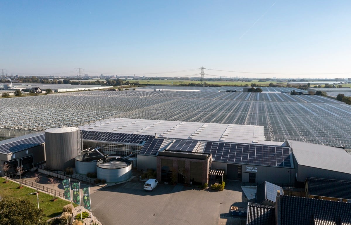 20211024 Plantanious drone_0697