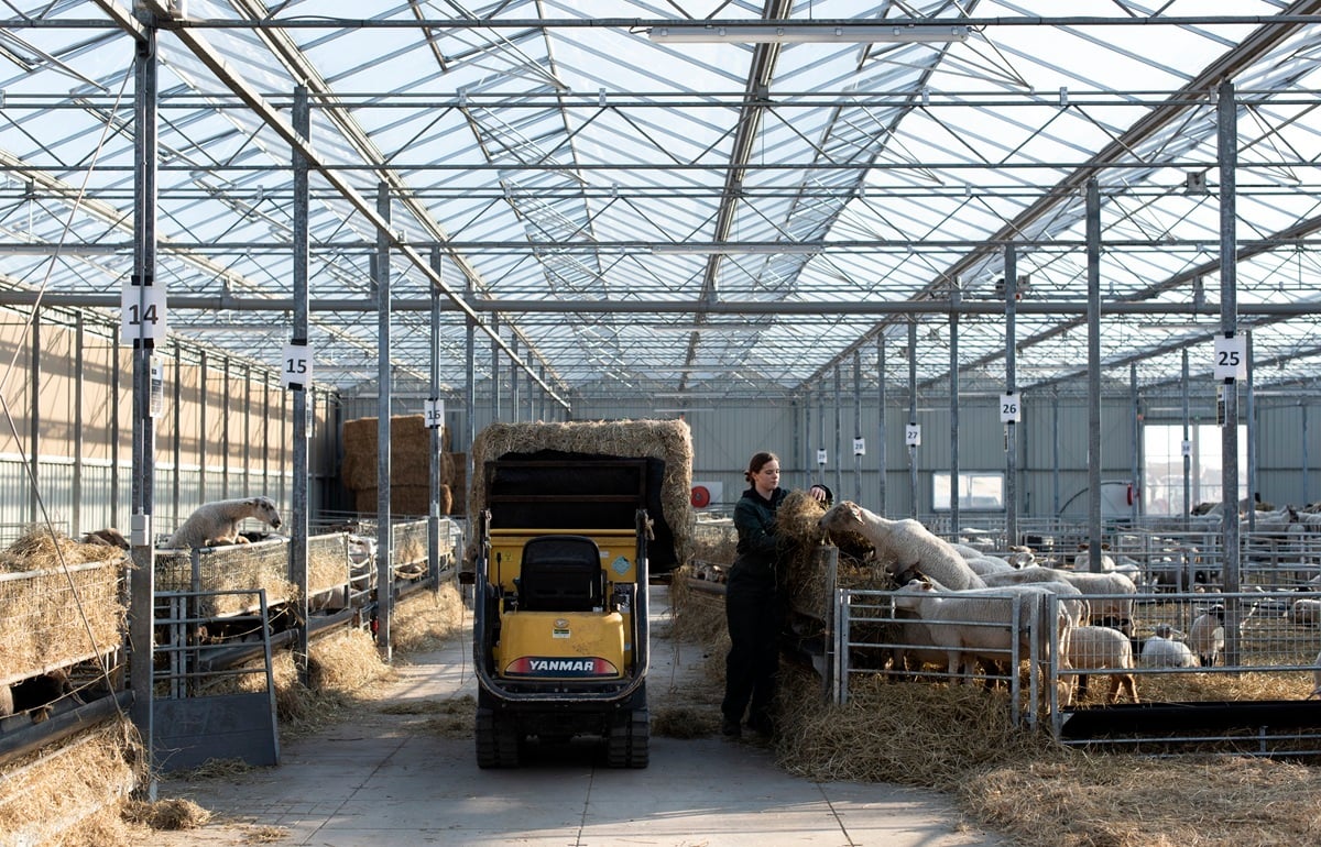 20220309 Oosthoek Landschapsbeheer_7525