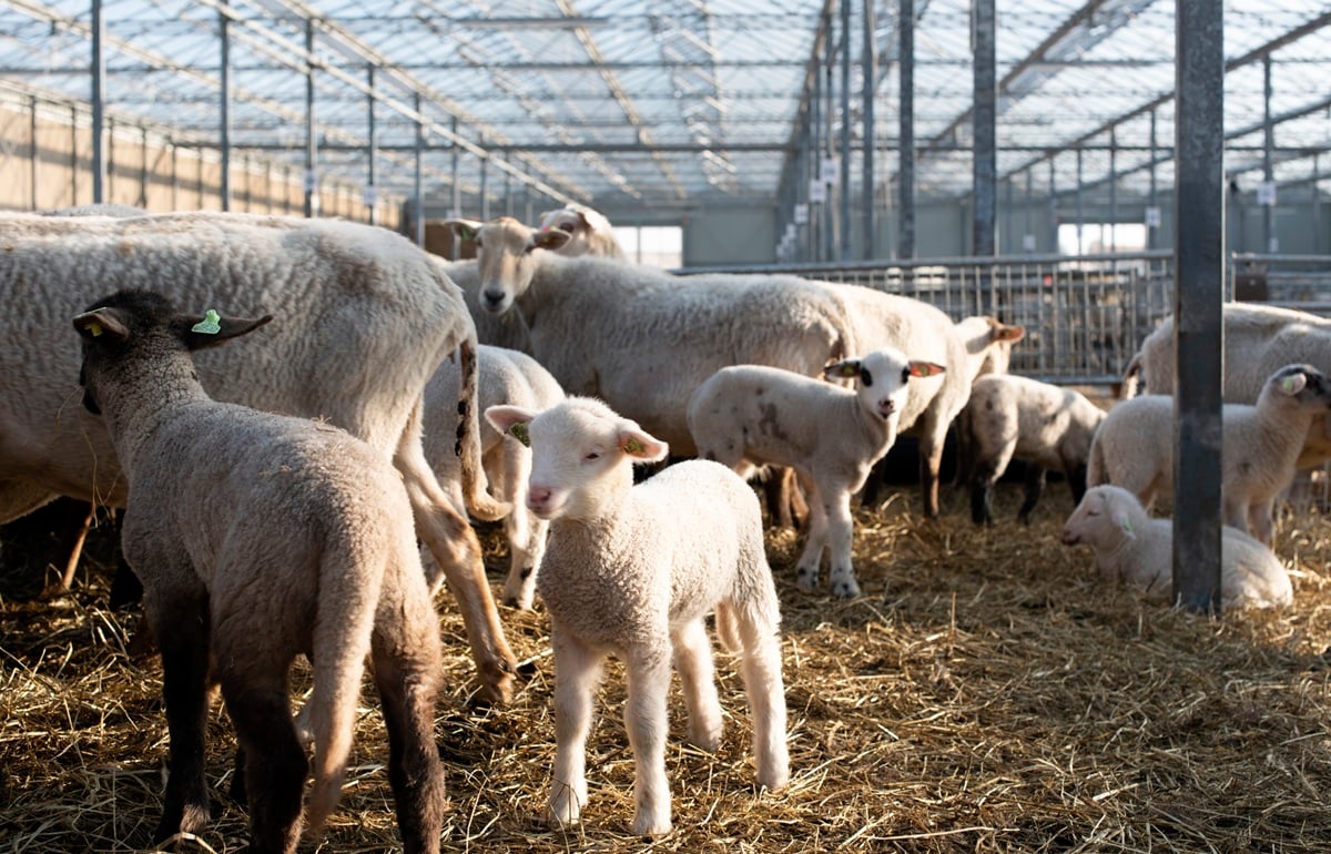 20220309 Oosthoek Landschapsbeheer_7535
