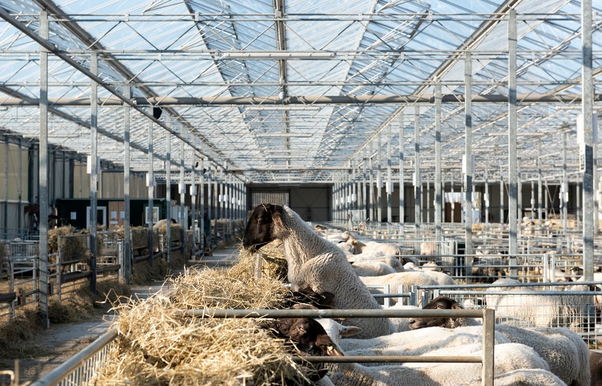 20220309 Oosthoek Landschapsbeheer_7611 (1)