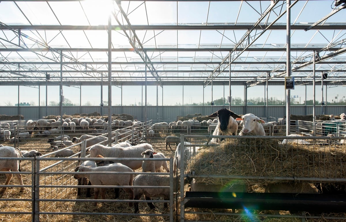 20220309 Oosthoek Landschapsbeheer_7631