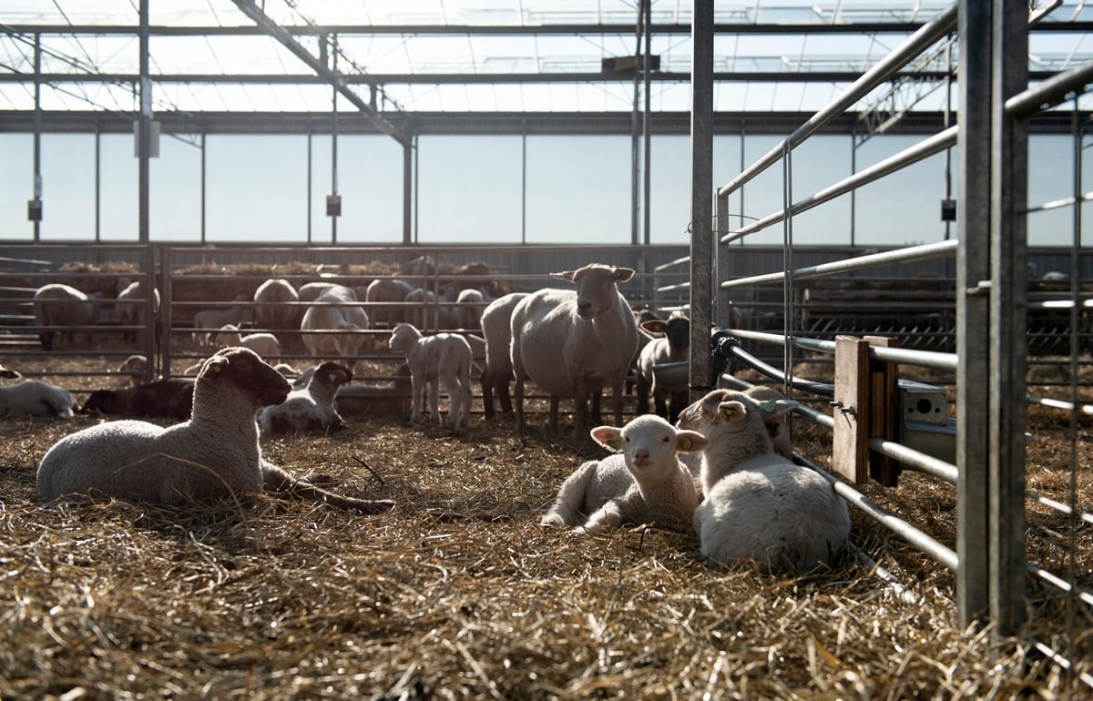 20220309 Oosthoek Landschapsbeheer_7651