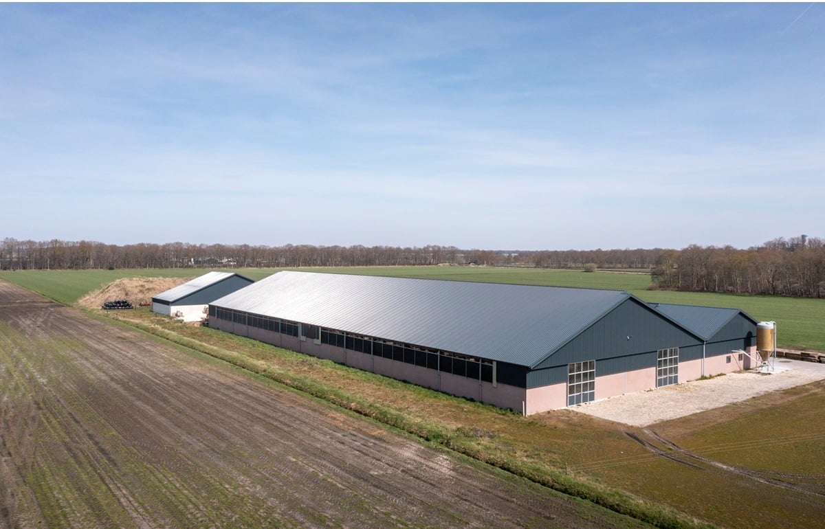 20220412 Elzing_0761