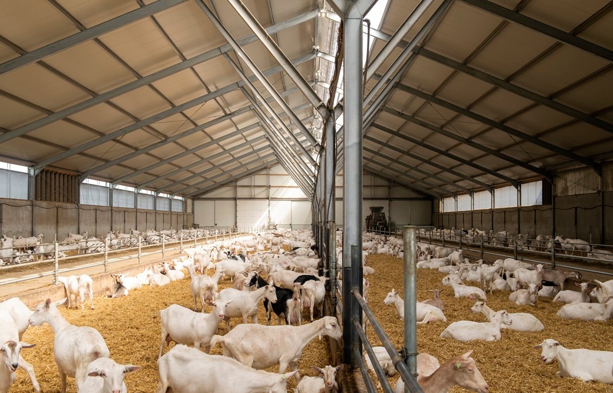 20220412 Elzing_1242