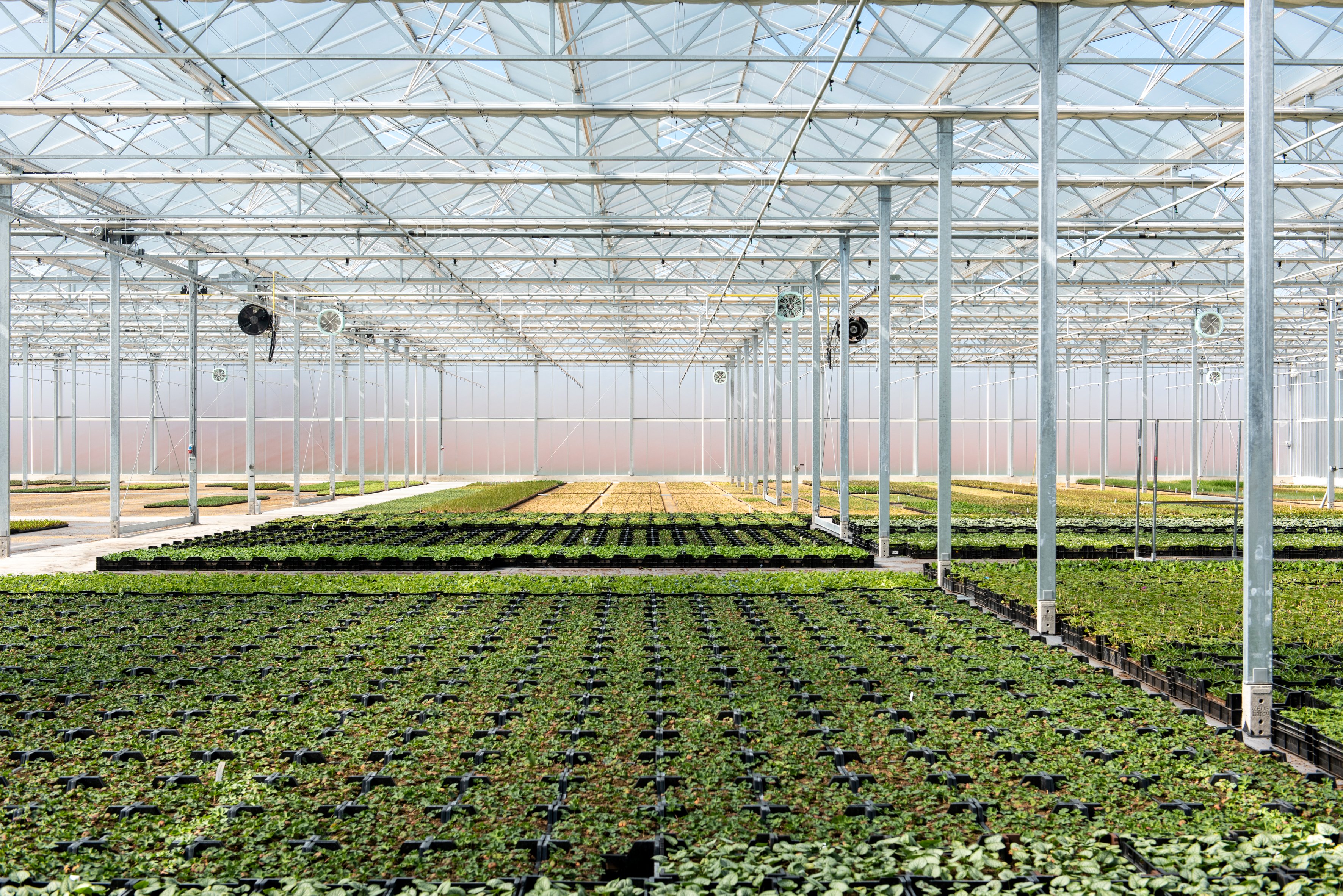 20220415 Gebr Rotteveel_DSC1392 (1)