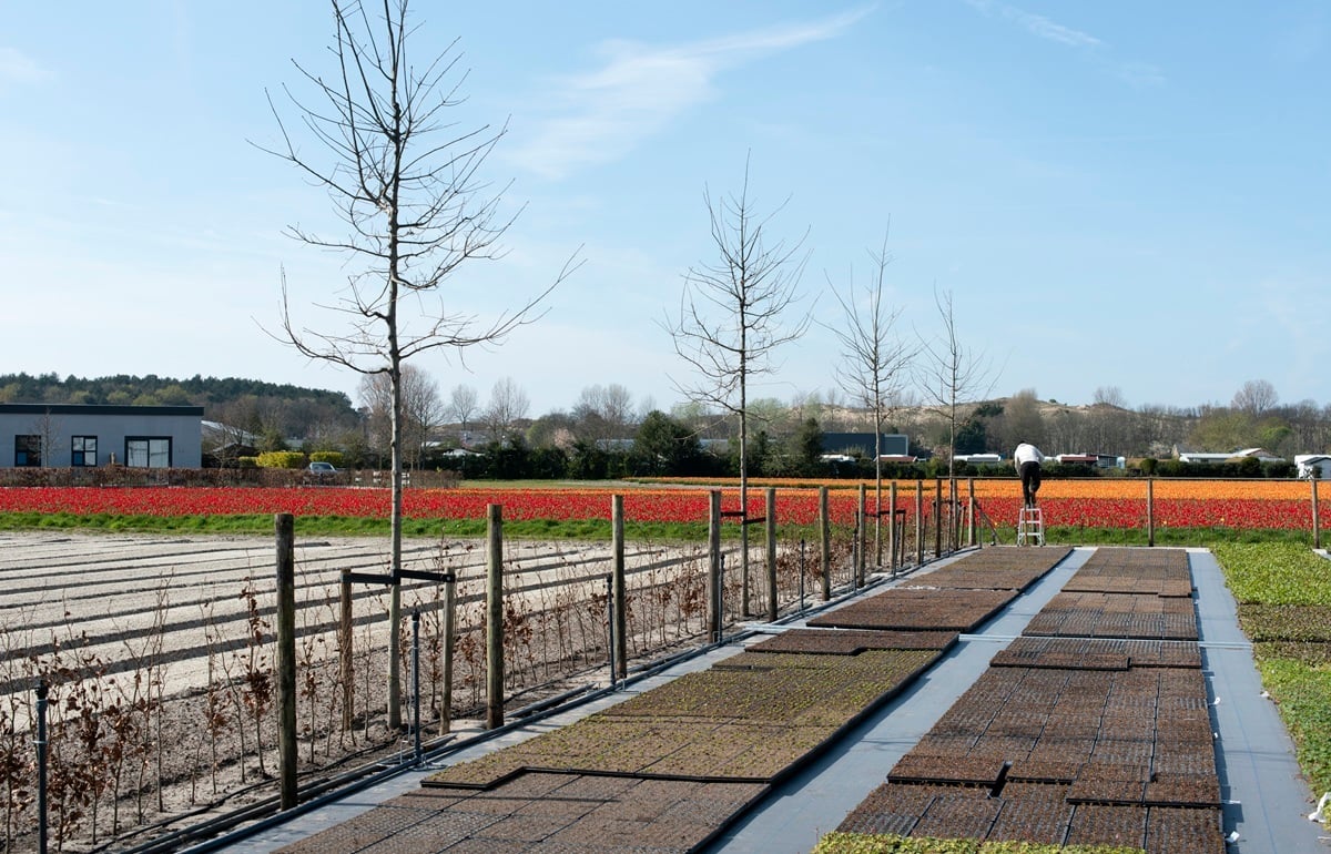 20220415 Gebr Rotteveel_DSC1452