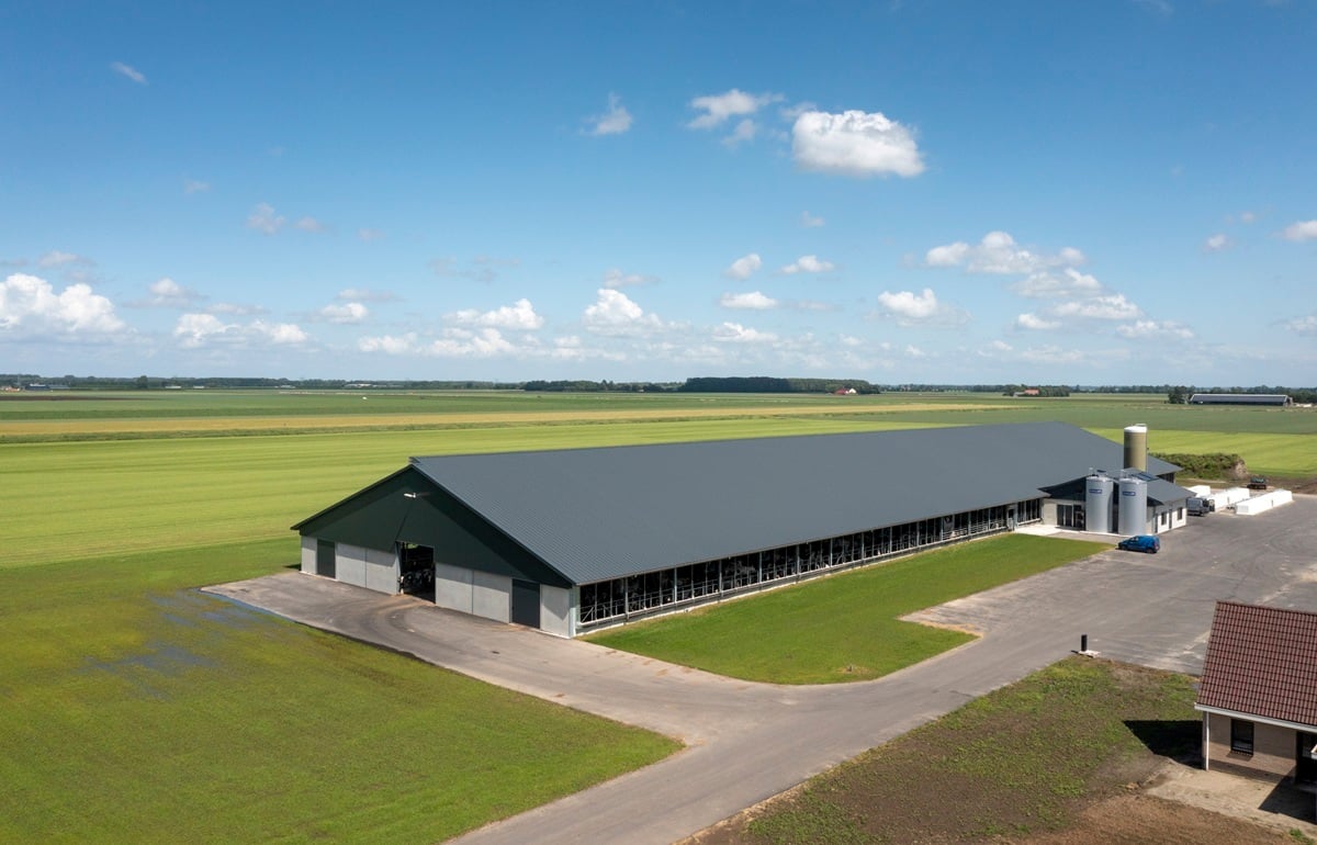 20220609 Tap_0874 (1)