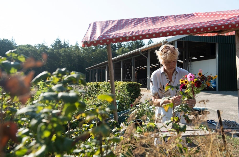 20220825 Klein Reeve_DSC5375