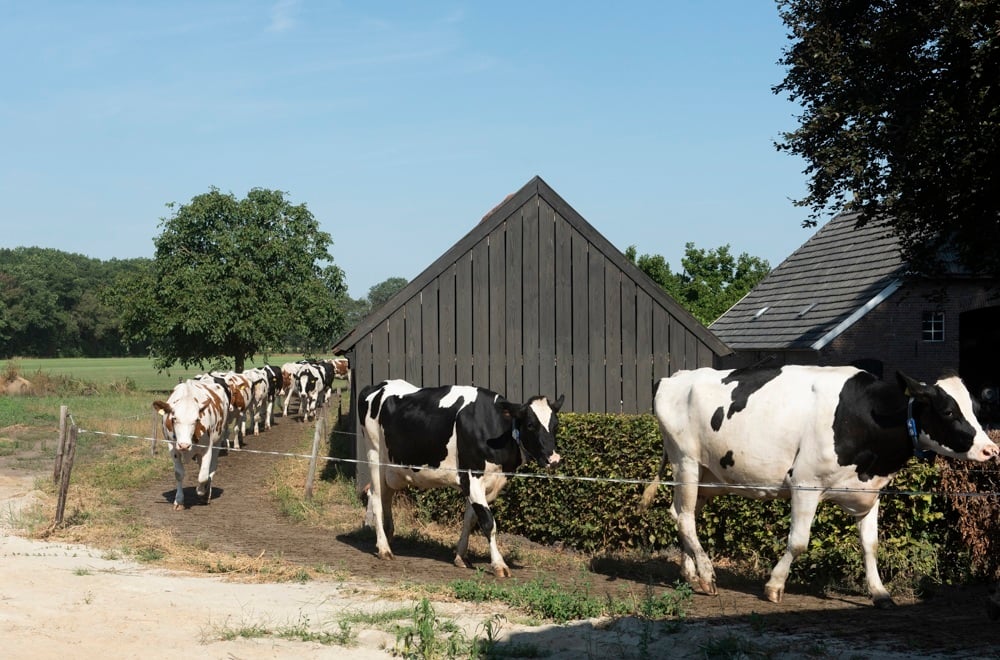 20220825 Klein Reeve_DSC5435