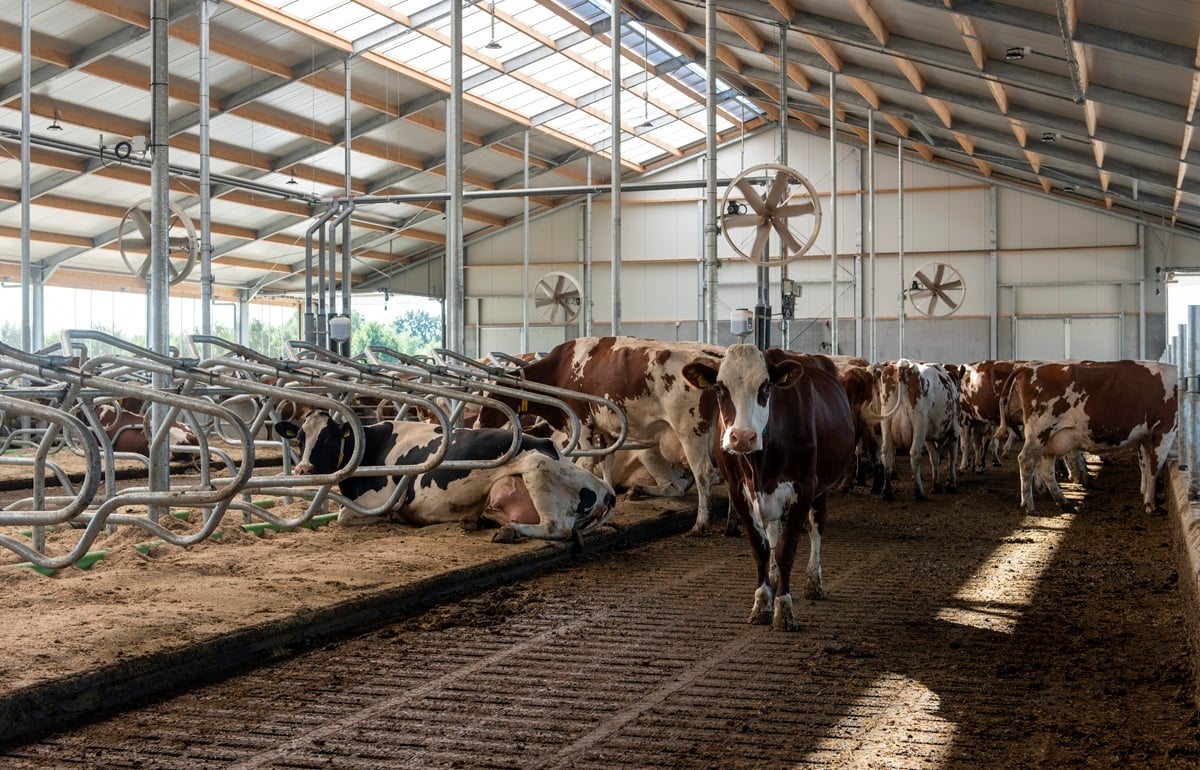 20220901 v Ginkel_5871 (1)