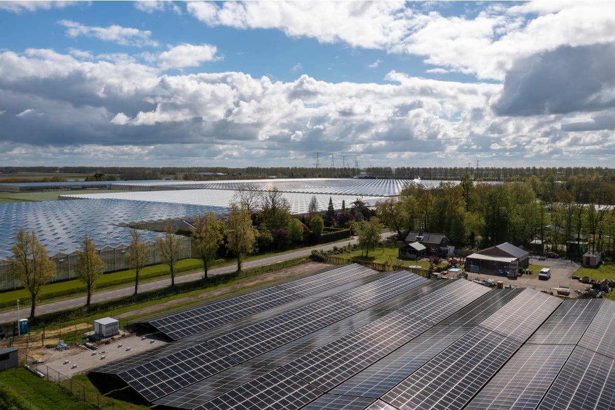 20240418 Amatrex DJI_0434 (1)