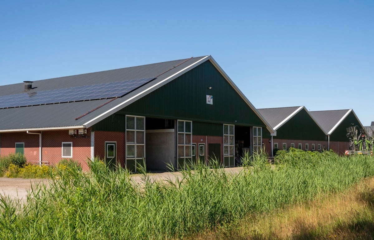 20240624 Evert Jansen_1729