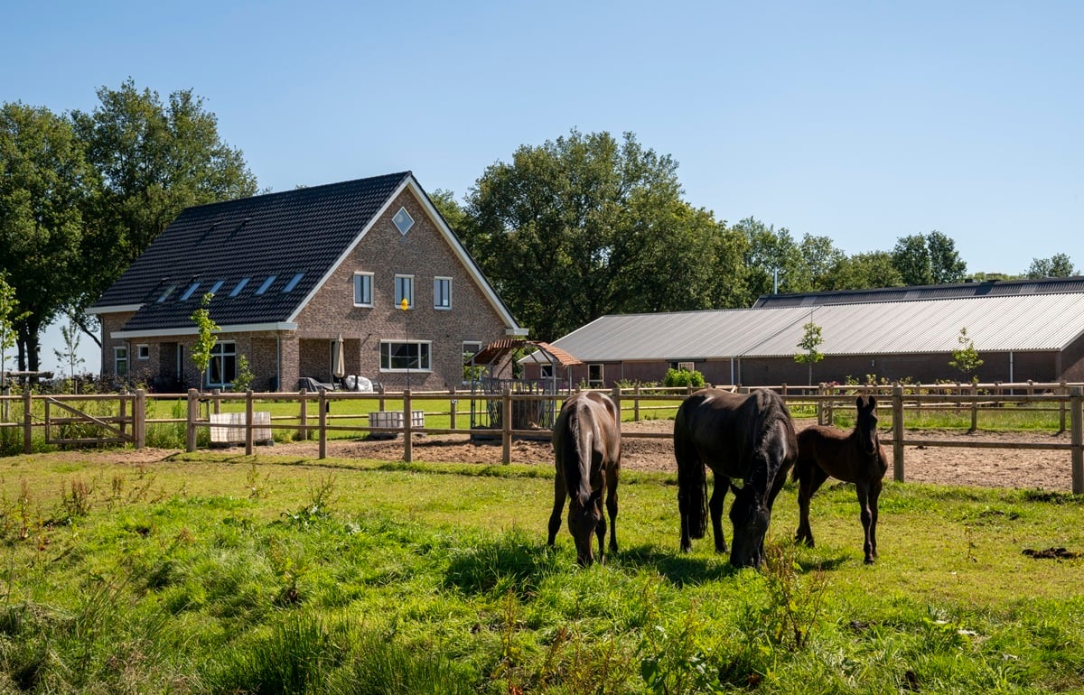 20240624 Evert Jansen_1765