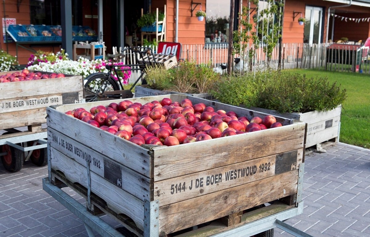 44-tKeetje-fotomarianneberkhoff__Kopie_