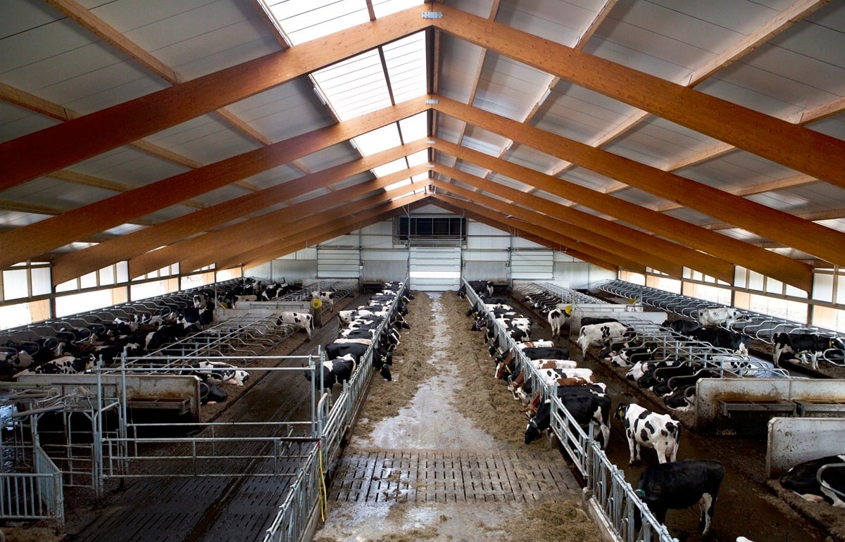 52-Spans-30x45cm-300ppi-fotomarianneberkhoff (2)