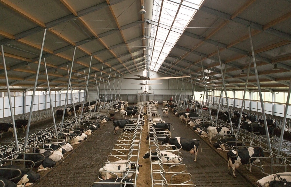 53-Beker-fotomarianneberkhoff