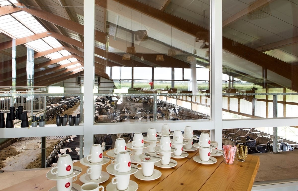 57-Weidevol-fotomarianneberkhoff