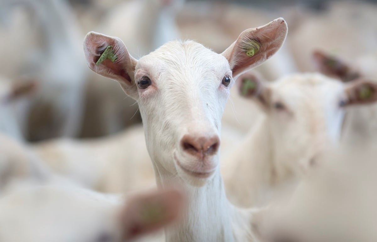 60-fadeGroot-fotoMarianneBerkhoff__Kopie_