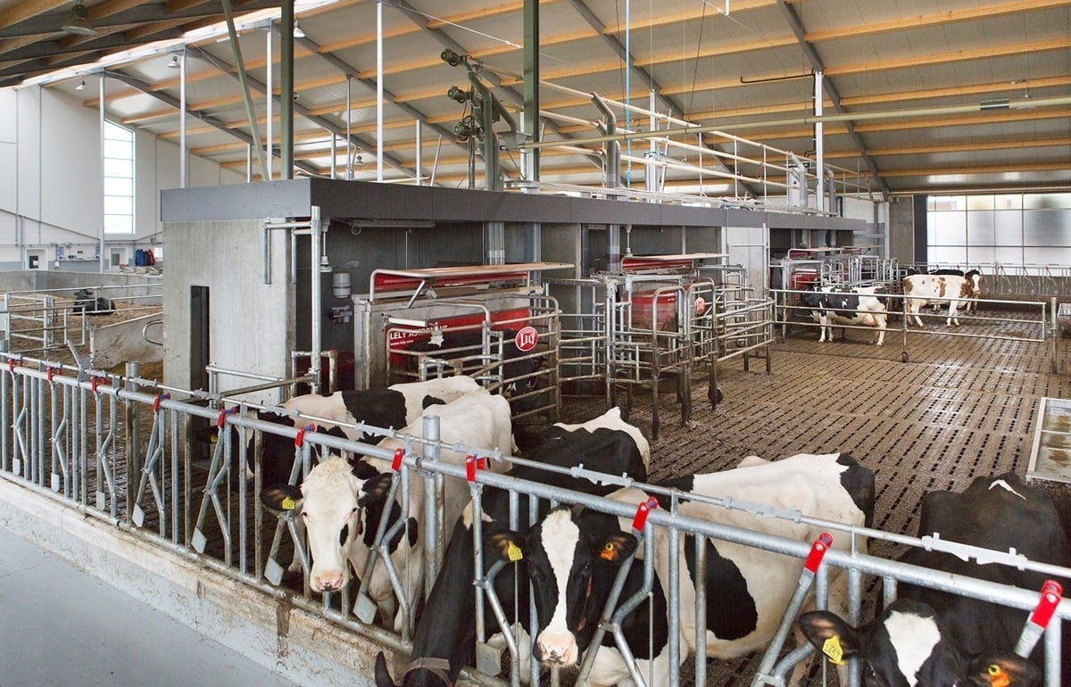 66-Beker-fotomarianneberkhoff