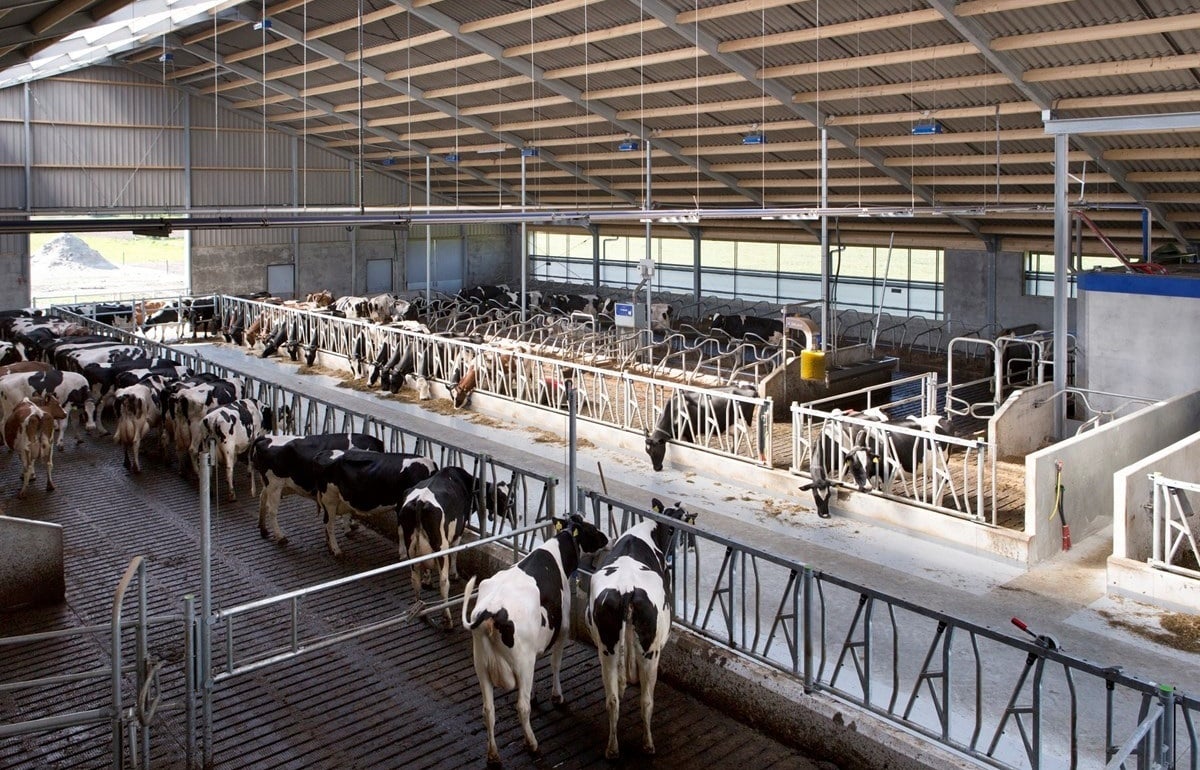 66-faNagelhoud-fotomarianneberkhoff__Kopie_