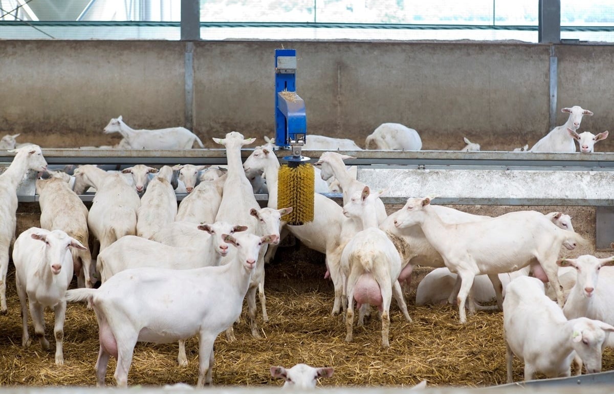 66-fadeGroot-fotoMarianneBerkhoff__Kopie_