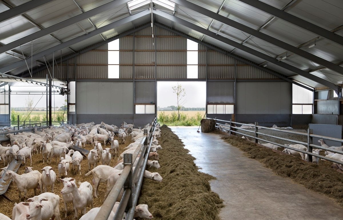 72-fadeGroot-fotoMarianneBerkhoff__Kopie_