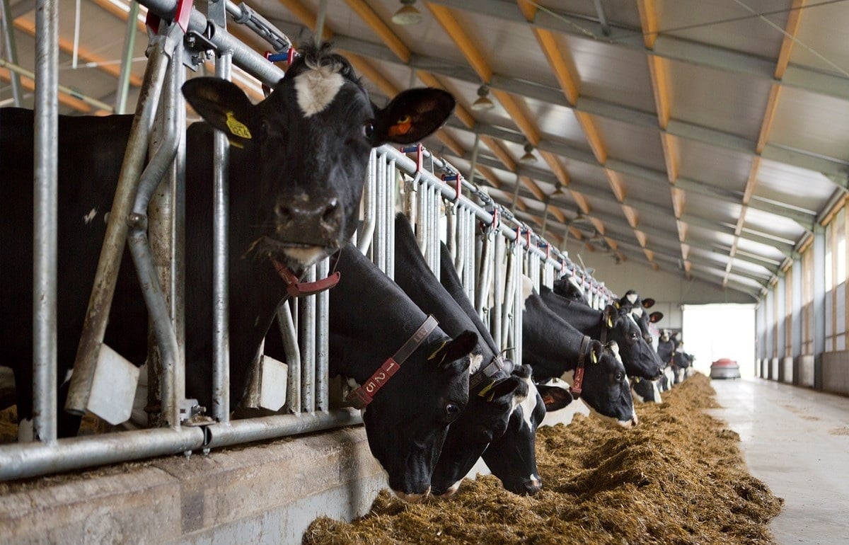 73-Beker-fotomarianneberkhoff