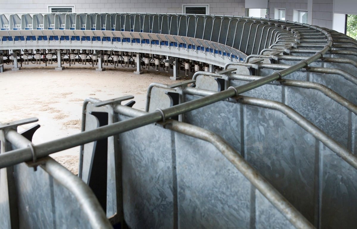 81-fadeGroot-fotoMarianneBerkhoff__Kopie_