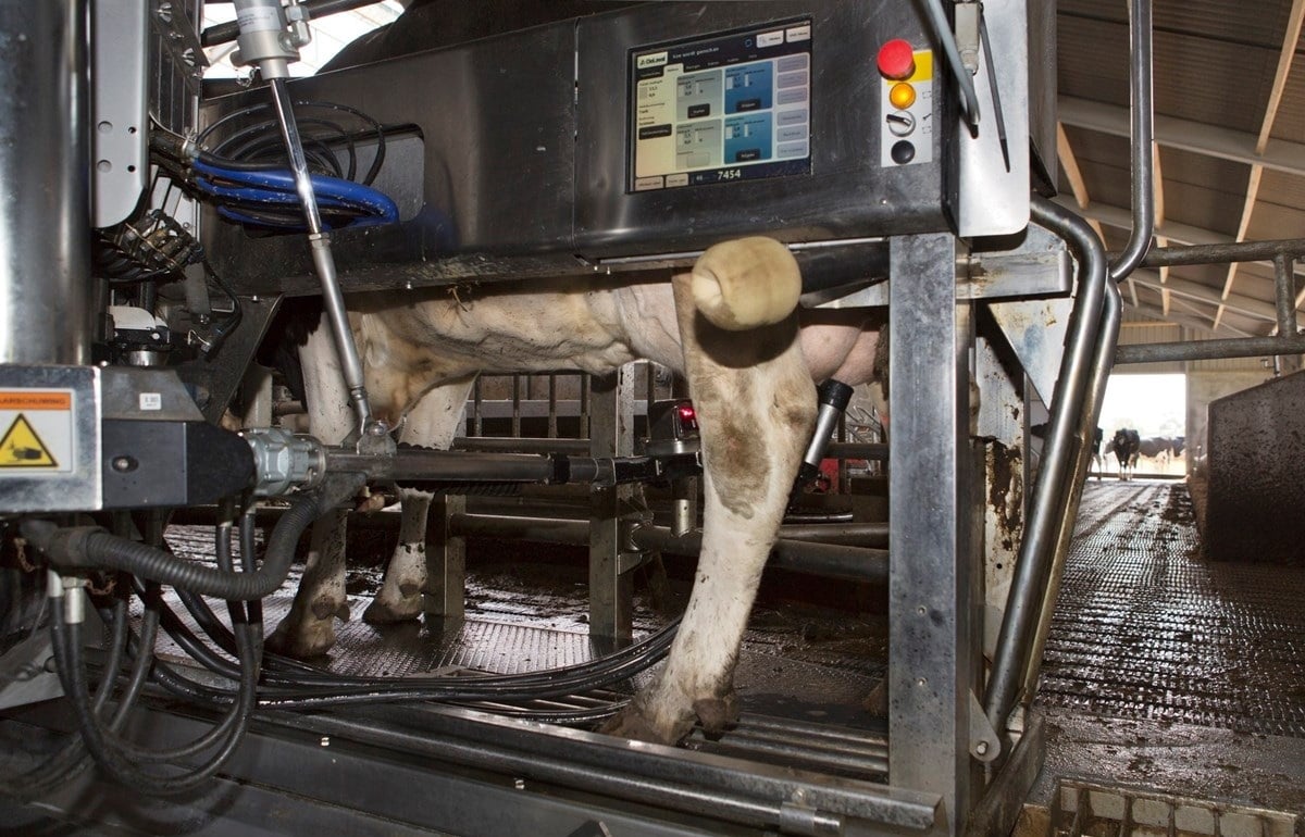 93-faNagelhoud-fotomarianneberkhoff__Kopie_-1