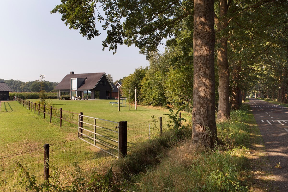 06-Stegeman-fotomarianneberkhoff