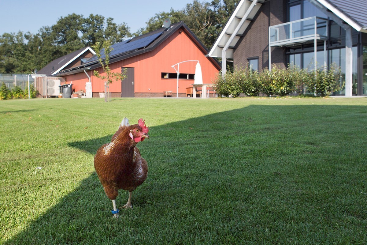 20-Stegeman-fotomarianneberkhoff