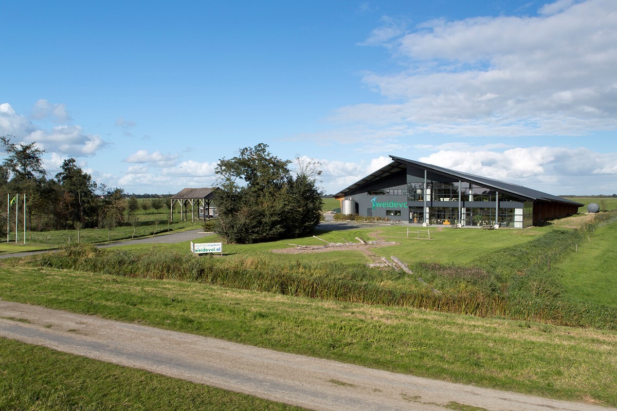 04-Weidevol-fotomarianneberkhoff