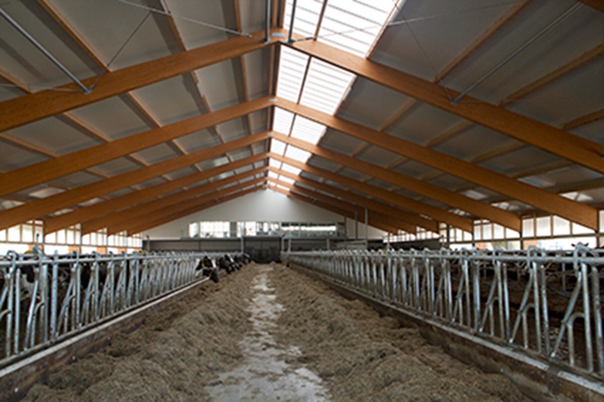 46-Spans-10x15cm-72ppi-fotomarianneberkhoff