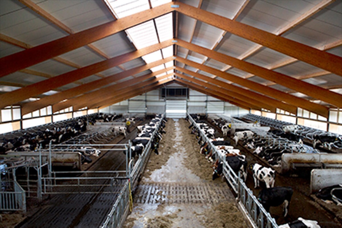 52-Spans-10x15cm-72ppi-fotomarianneberkhoff