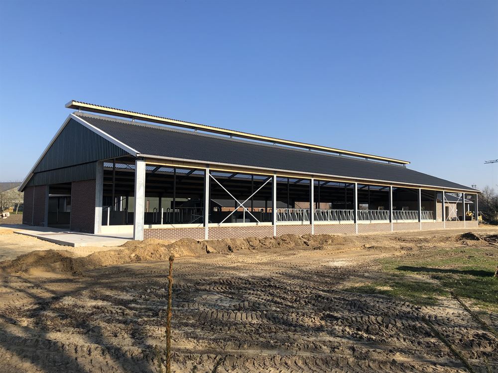 <span id="hs_cos_wrapper_name" class="hs_cos_wrapper hs_cos_wrapper_meta_field hs_cos_wrapper_type_text" style="" data-hs-cos-general-type="meta_field" data-hs-cos-type="text" >Van grupstal naar moderne ligboxenstal</span>