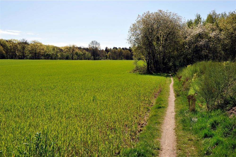 <span id="hs_cos_wrapper_name" class="hs_cos_wrapper hs_cos_wrapper_meta_field hs_cos_wrapper_type_text" style="" data-hs-cos-general-type="meta_field" data-hs-cos-type="text" >Wet stikstofreductie en natuurverbetering</span>