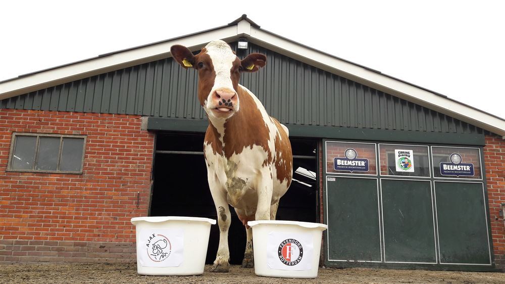 <span id="hs_cos_wrapper_name" class="hs_cos_wrapper hs_cos_wrapper_meta_field hs_cos_wrapper_type_text" style="" data-hs-cos-general-type="meta_field" data-hs-cos-type="text" >Wereldberoemde koe Sijtje geveld door blauwtong</span>